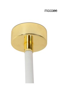 MSE1501100440_lasso_4.jpg