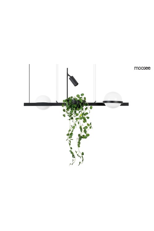 MSE010100156_plant_logo_1.jpg