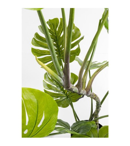 KARE roślina dekoracyjna MONSTERA 110 cm