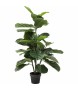 KARE roślina dekoracyjna FIDDLE LEAF 120  cm