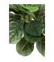 KARE roślina dekoracyjna FIDDLE LEAF 120  cm