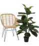 KARE roślina dekoracyjna FIDDLE LEAF 120  cm
