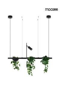 MOOSEE lampa wisząca PLANT LINE czarna