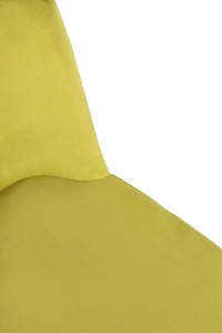 Zestaw 2 krzeseł DIEGO jasnozielony -     welur, podstawa czarno złota