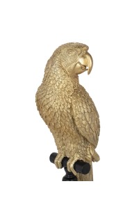 61630_parrot_116cm_5.jpg