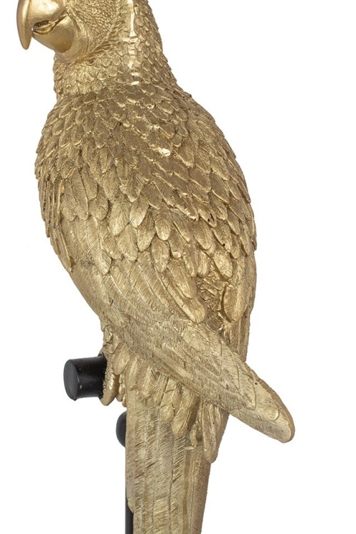 61630_parrot_116cm_6.jpg