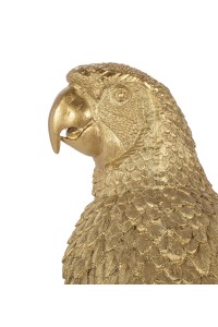 61630_parrot_116cm_9.jpg