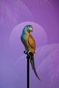 61630_kare_papuga.jpg