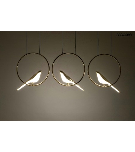 MOOSEE lampa wisząca BIRD LINE złota