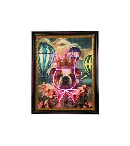 Obraz NEON BULLDOG BALOON 80x100 cm