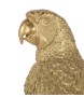 KARE dekoracja stojąca PARROT 116 cm złota