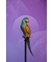 KARE dekoracja stojąca PARROT 116 cm złota