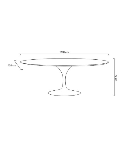 Stół TULIP ELLIPSE 200 biały - MDF,       metal