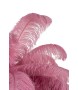 MOOSEE lampa wisząca TIFFANY 135 różowa   mosiądz / naturalne pióra