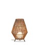 NEW GARDEN lampa dekoracyjna SISINE 70 CABLE IN&OUT