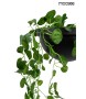 MOOSEE lampa wisząca PLANT czarna