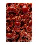 KARE wazon dekoracyjny CRABS 39 cm        czerwony