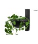 MOOSEE lampa ścienna PLANT WALL czarna