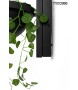 MOOSEE lampa ścienna PLANT WALL czarna