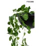 MOOSEE lampa ścienna PLANT WALL czarna