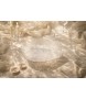 Patera na owoce SHP FRESH transparentna