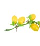 Dekoracja / cytryny ozdobne SHP CAPRI     żółte