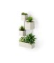 UMBRA zestaw doniczek CUBIKO biały