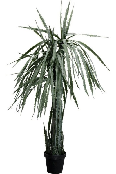 KARE roślina dekoracyjna DRAGON TREE 155  cm