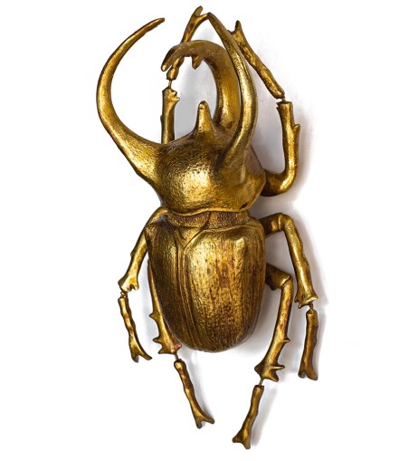 KARE dekoracja ścienna ATLAS BEETLE złota