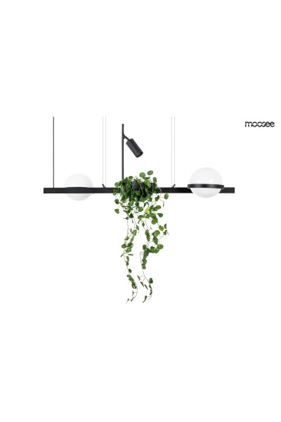 MOOSEE lampa wisząca PLANT czarna