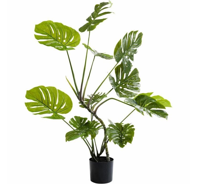 KARE roślina dekoracyjna MONSTERA 110 cm
