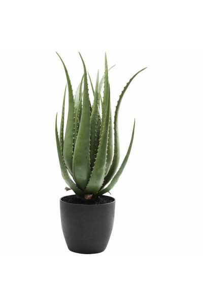 KARE roślina dekoracyjna ALOE 69 cm