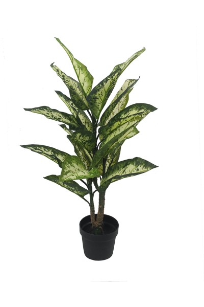 KARE roślina dekoracyjna DIFENBACHIA 100  cm