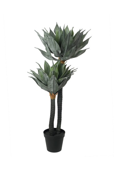 KARE roślina dekoracyjna AGAVE 120 cm