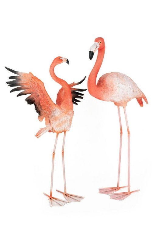 63948_flamingo_road_12.jpg