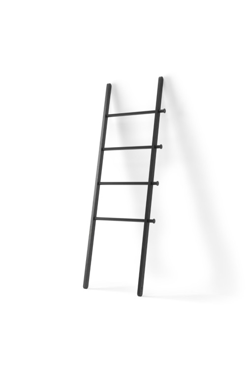 1017445-040_ladder0956%20%281%29.jpg