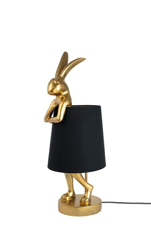 55796_rabbit_bg_50_1.jpg