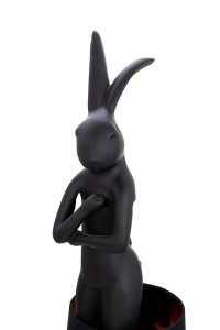 55797_rabbit_czcz_1.jpg