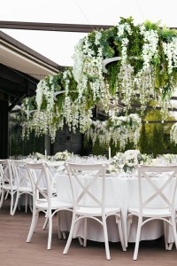 MSE1501100436.WIST_gardens_anarzacja_wisteria.jpg