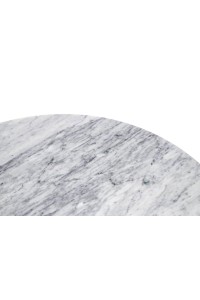 GT-09M.FI120_tulip_marble90_3.jpg