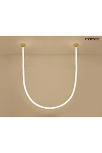MSE1501100496_lasso800_2.jpg
